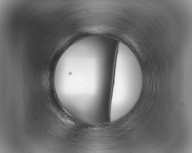 X0000071760400200606300921