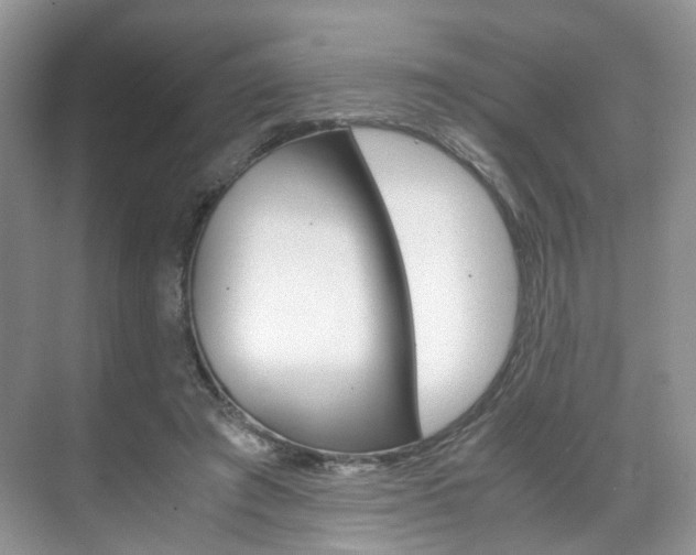 X0000071760401200606300921