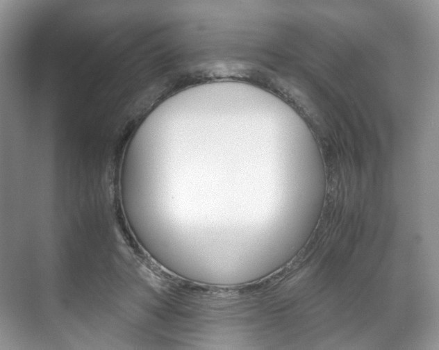 X0000071760402200606300921