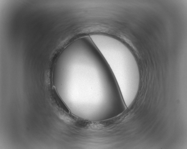 X0000071760403200606300921