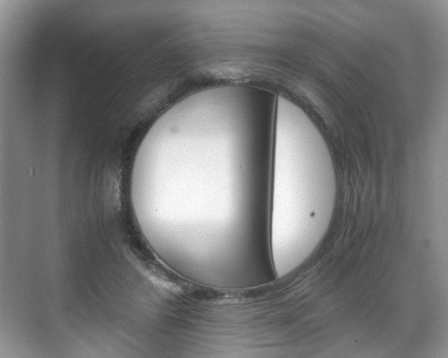 X0000071760404200606300921