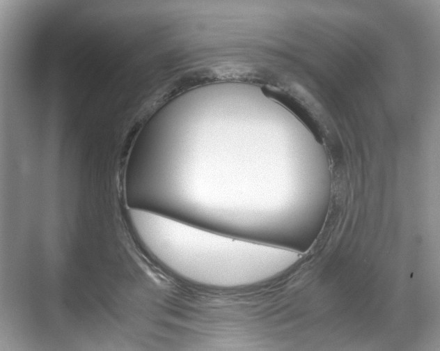 X0000071760405200606300921