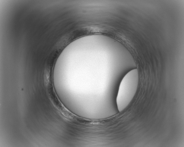 X0000071760406200606300921