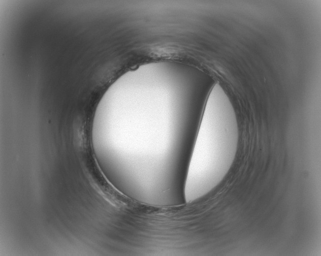 X0000071760408200606300921