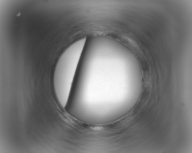 X0000071760409200606300921