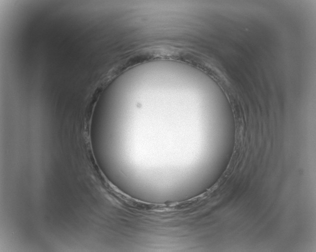 X0000071760411200606300921