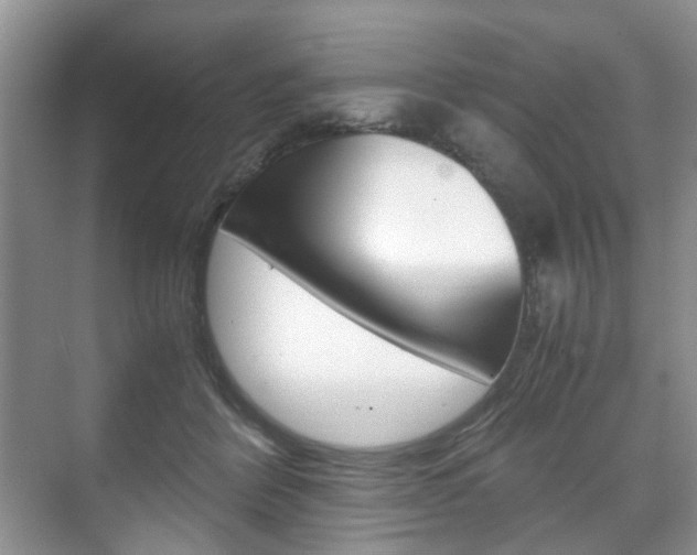 X0000071760412200606300921