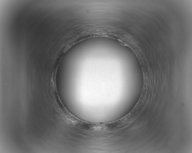 X0000071760415200606300921