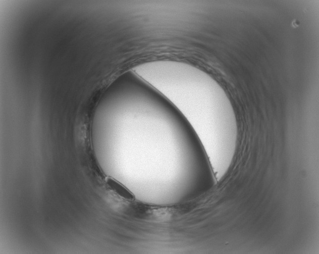 X0000071760417200606300921