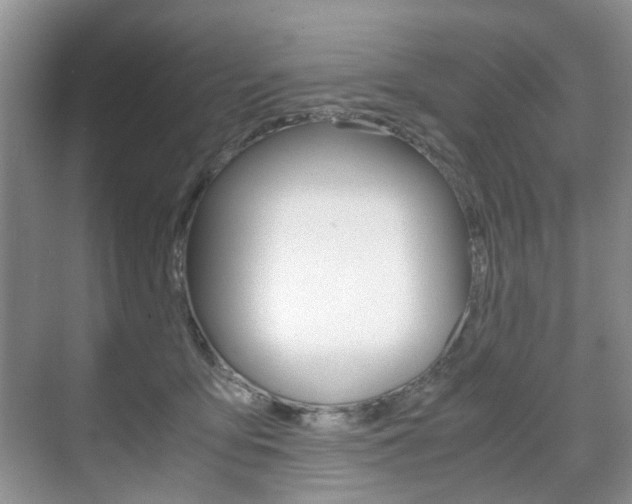 X0000071760419200606300921