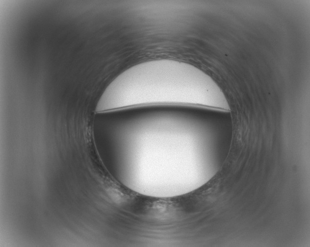 X0000071760420200606300921