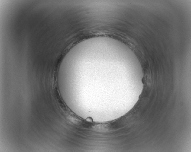 X0000071760422200606300921