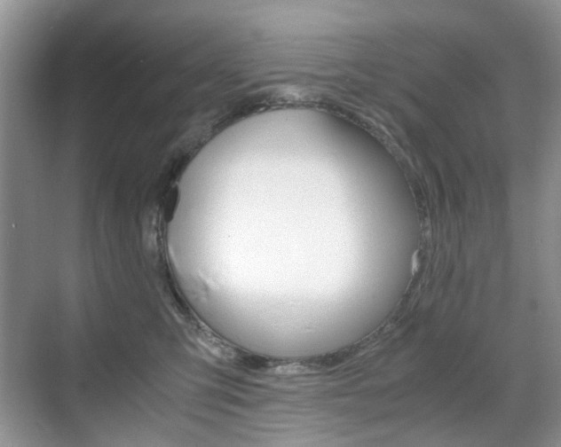 X0000071760423200606300921