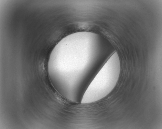 X0000071760424200606300921