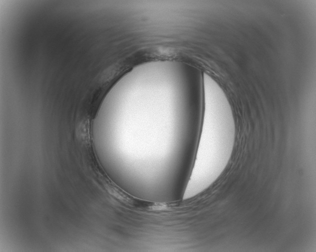 X0000071760425200606300921