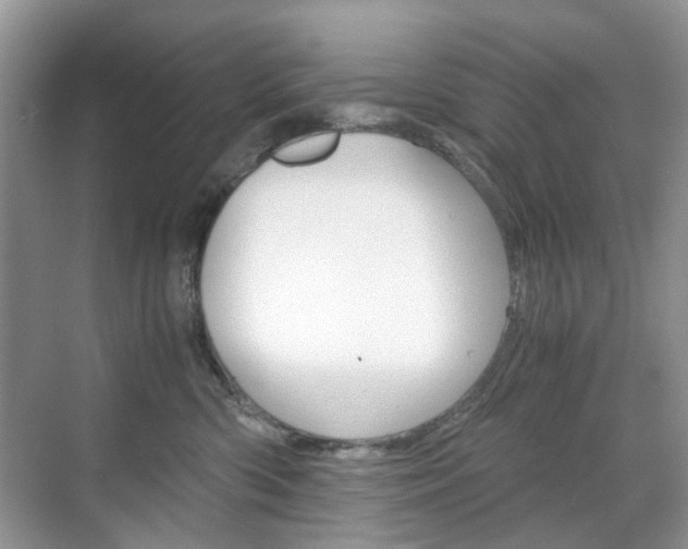 X0000071760426200606300921