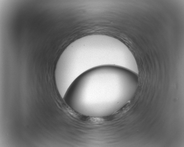 X0000071760429200606300921