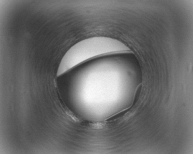 X0000071760432200606300921