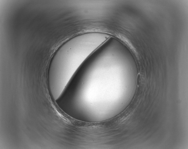 X0000071760433200606300920