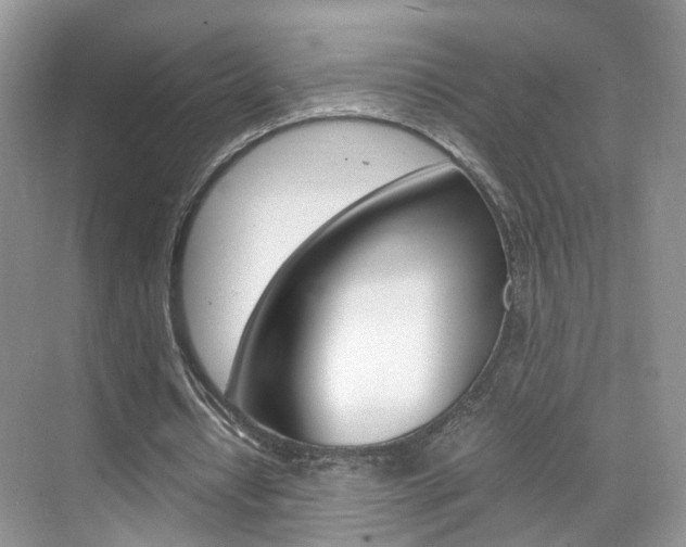 X0000071760434200606300920