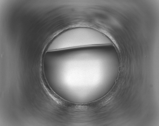 X0000071760437200606300920