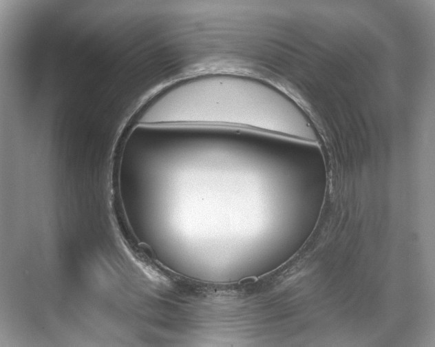 X0000071760438200606300920