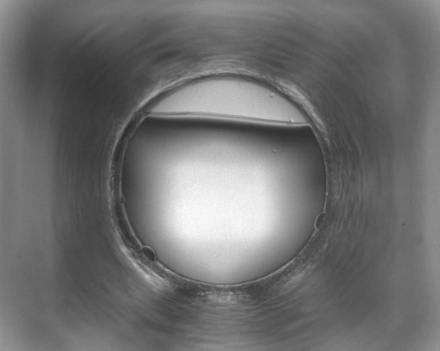 X0000071760439200606300920