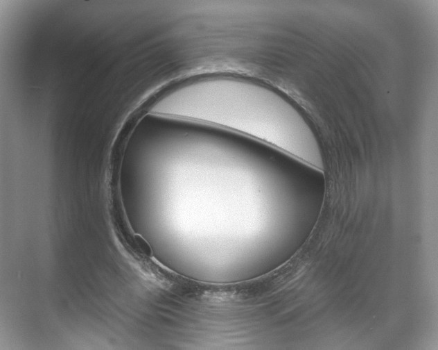 X0000071760440200606300920