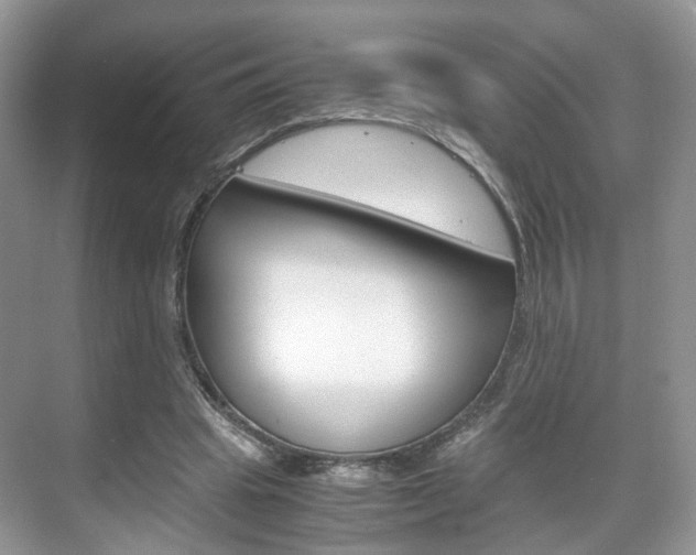 X0000071760441200606300920