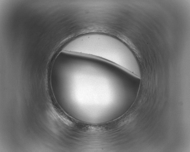 X0000071760442200606300920