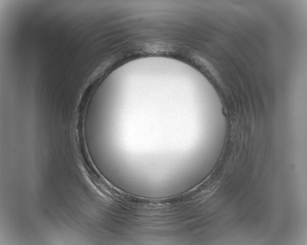 X0000071760443200606300920