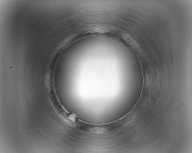 X0000071760444200606300920