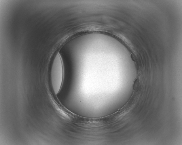 X0000071760445200606300920