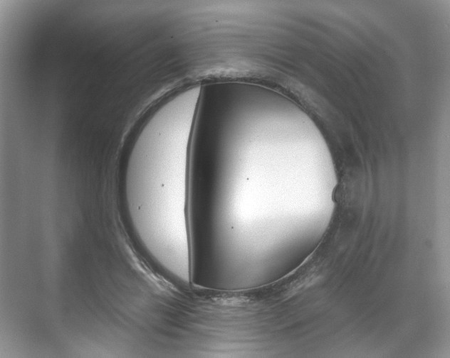 X0000071760446200606300920