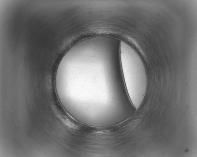 X0000071760447200606300920