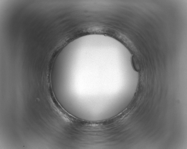 X0000071760449200606300920