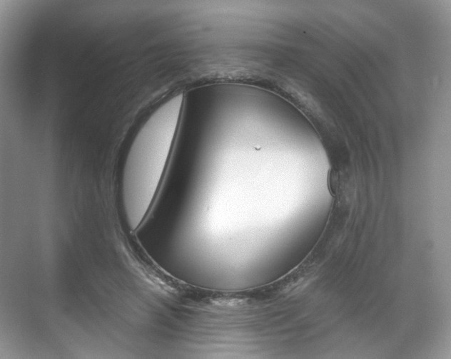 X0000071760450200606300920