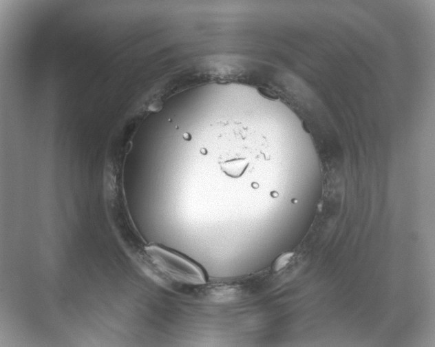 X0000071760456200606300920