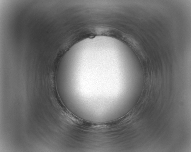 X0000071760461200606300920