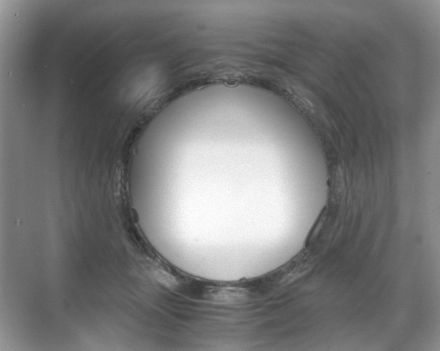 X0000071760463200606300920