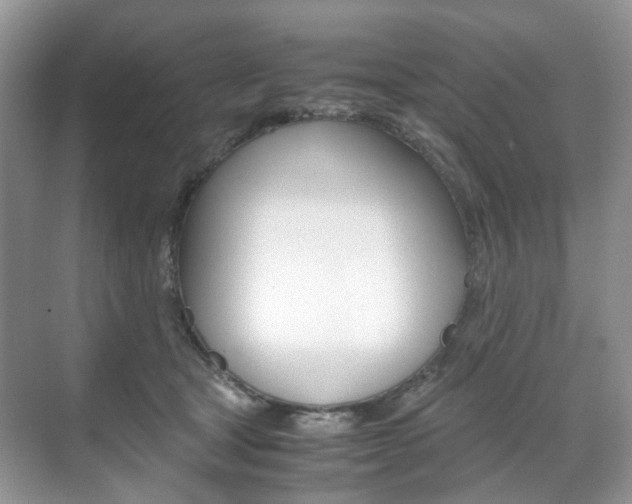 X0000071760465200606300920