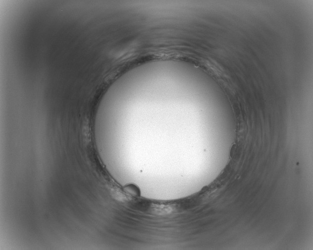 X0000071760469200606300920