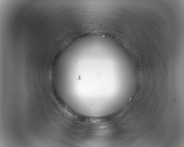 X0000071760472200606300920