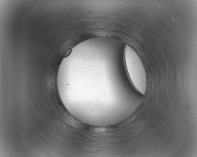 X0000071760473200606300920