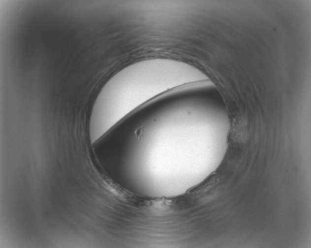 X0000071760474200606300920