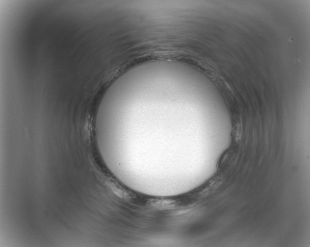 X0000071760476200606300920