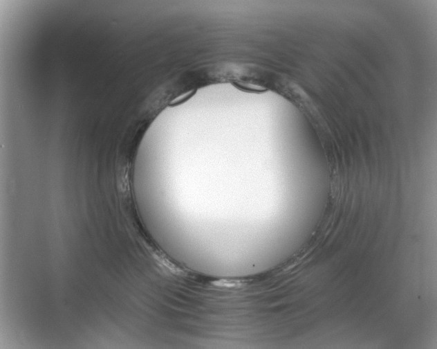 X0000071760477200606300920