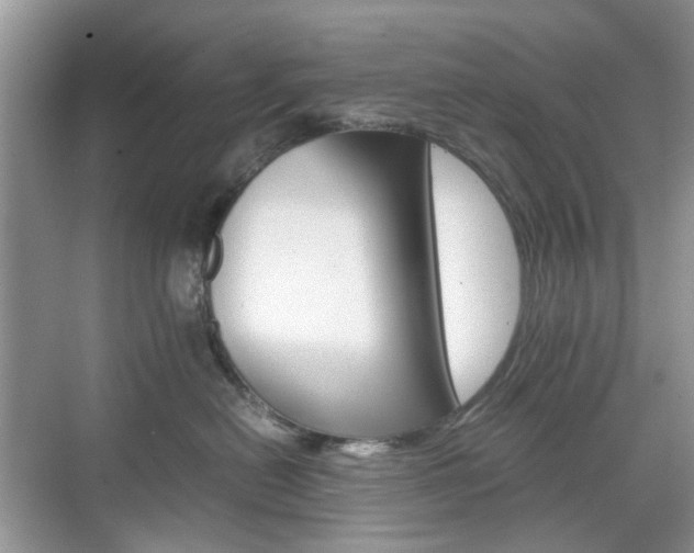 X0000071760478200606300920