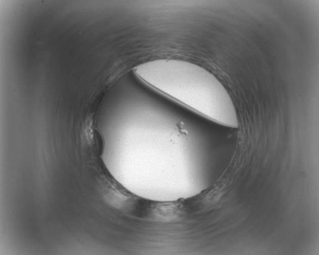 X0000071760479200606300920