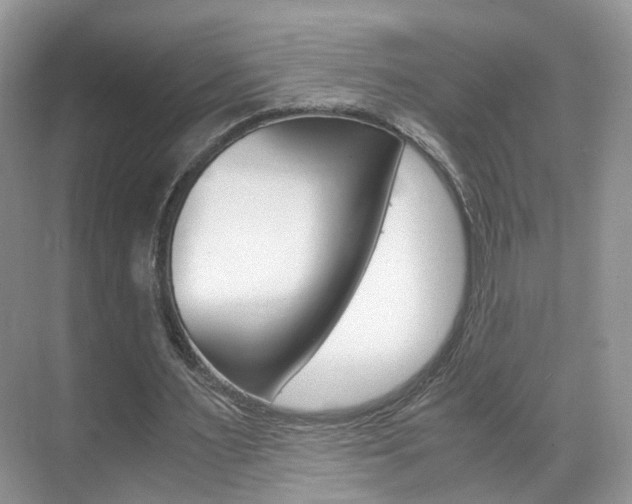 X0000071760483200606300920